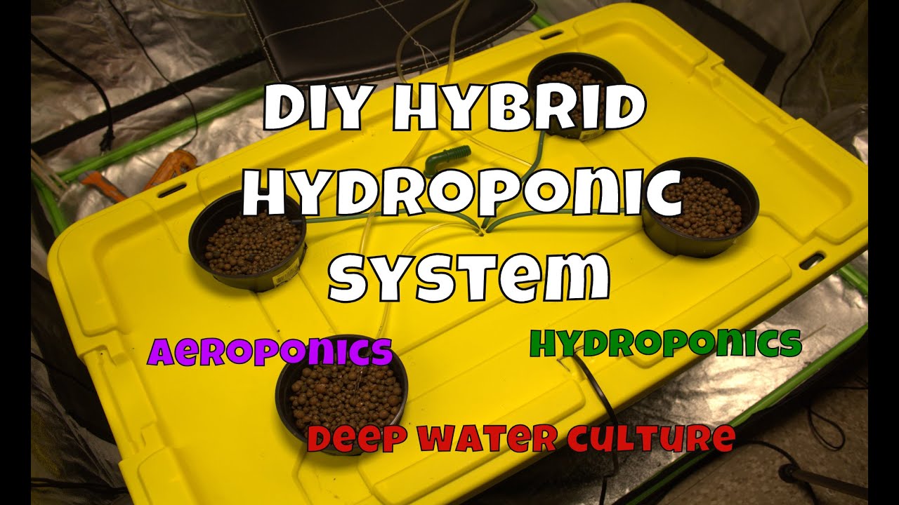 DIY Hydroponics / Aquaponics Hybrid System