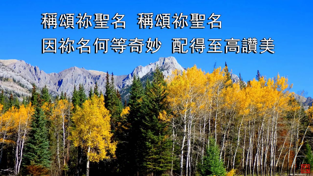 稱頌祢聖名 | 小羊詩歌《主, 我相信》專輯