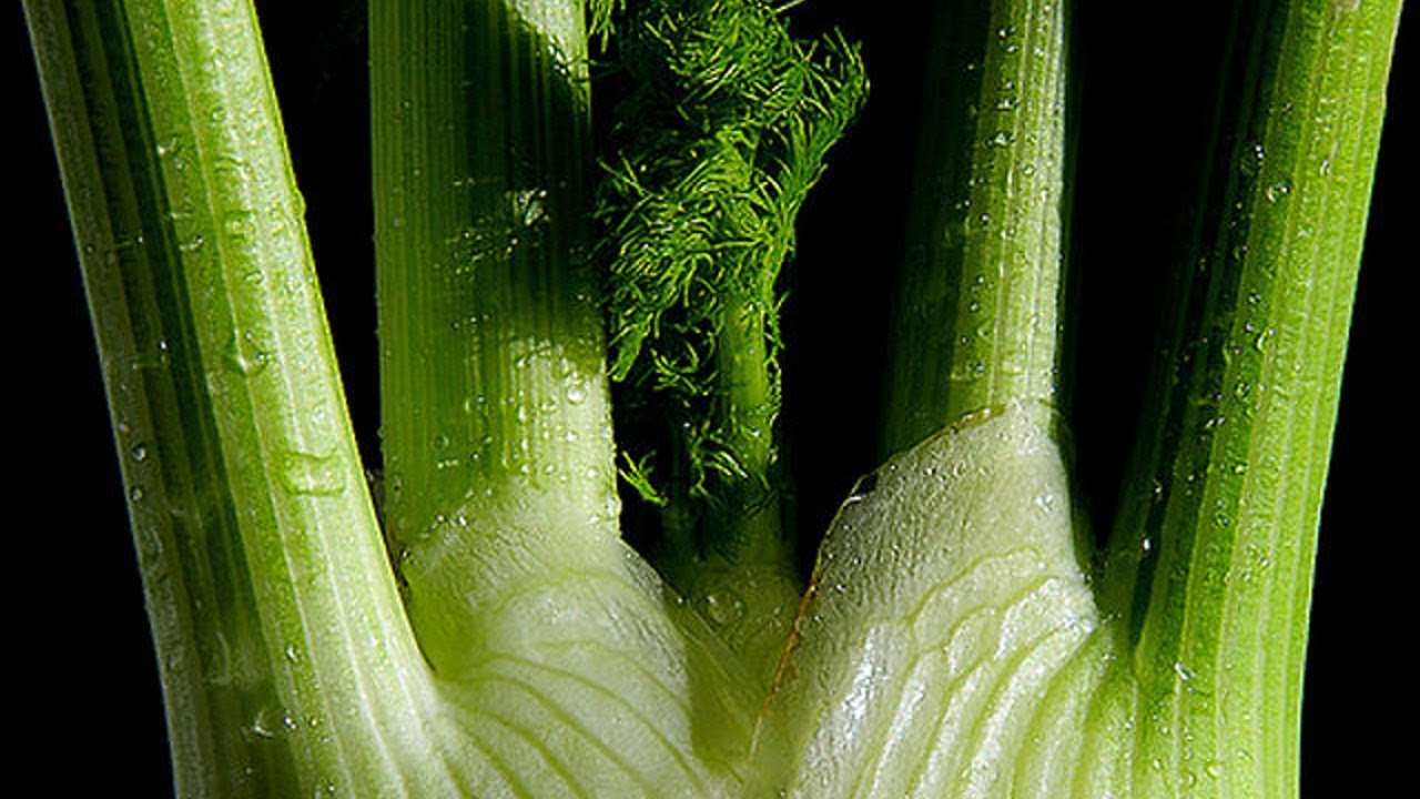 Shane Delia Show Us How To Use Fennel