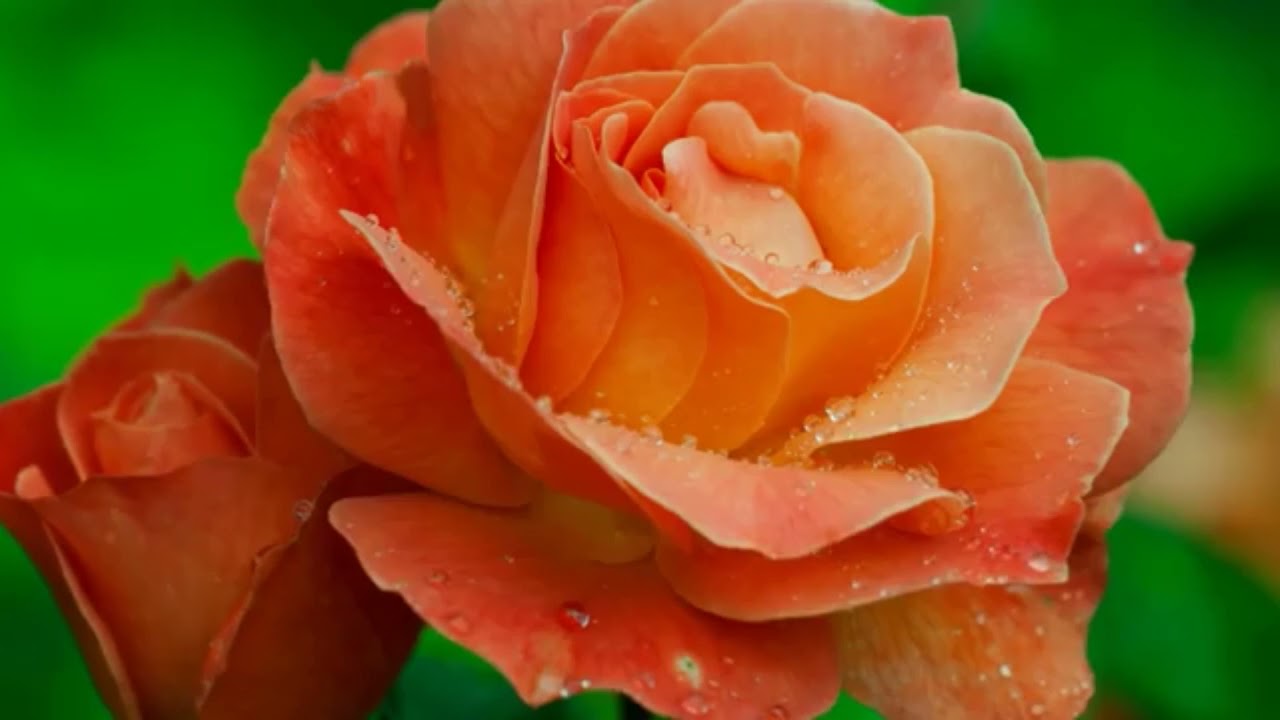 Girma Negash /የኔ ሓሳብ/ Best Remix Deep  love song