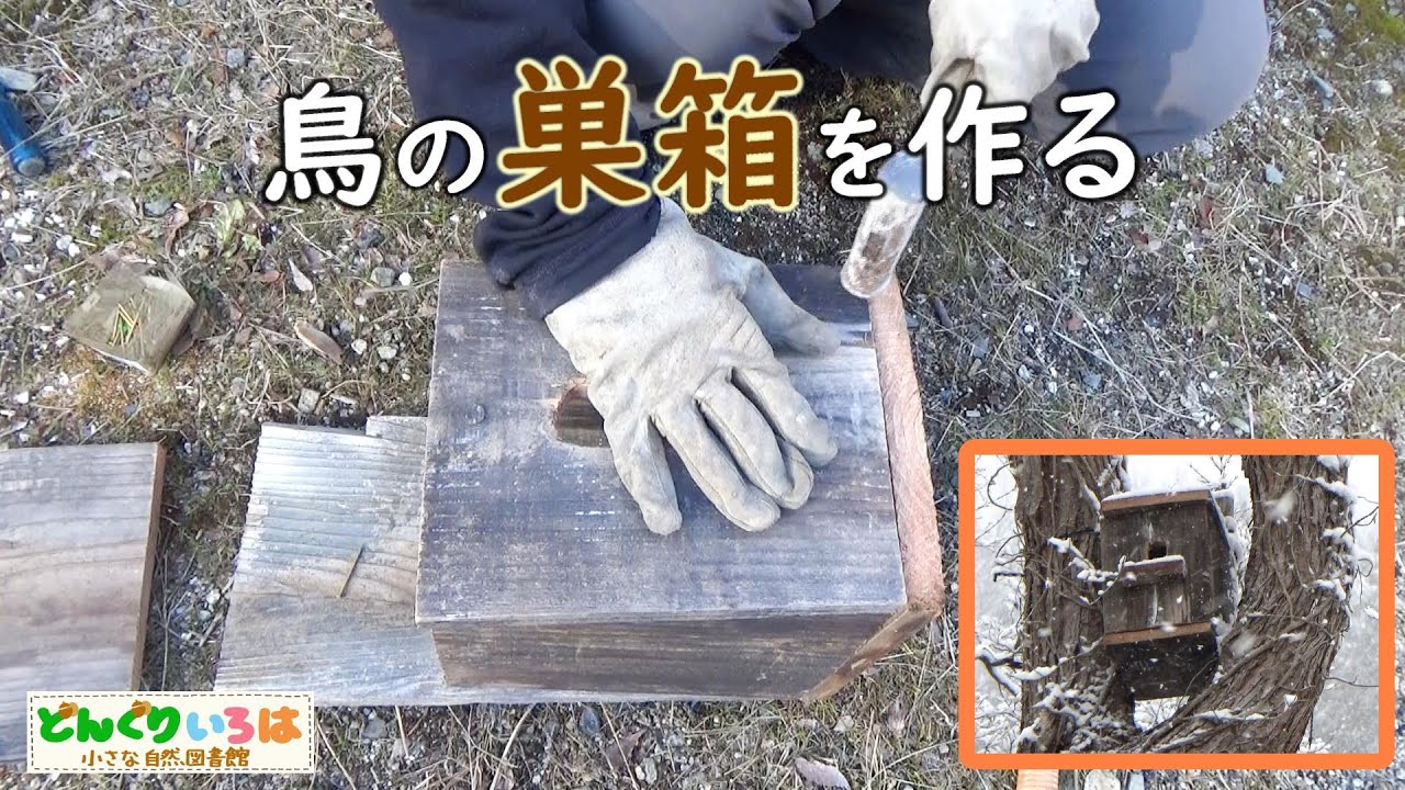 鳥の巣箱を作る～庭の木に取り付けました♪