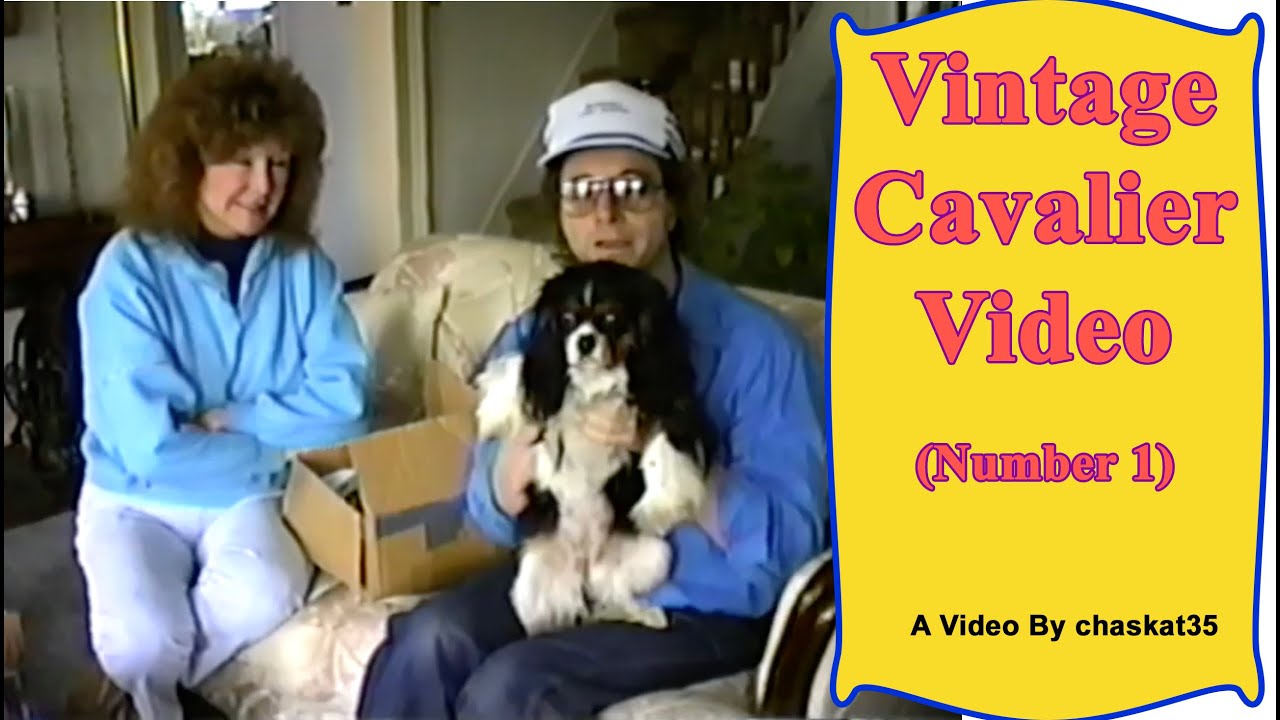 Винтажное видео Cavalier — Номер 1