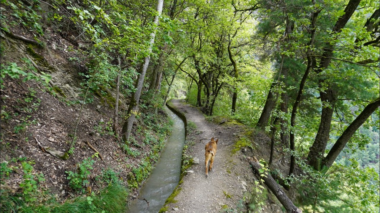 Bisse de Clavau aller-retour depuis parking Champlan, Sion, Valais, Suisse,01-08-2021