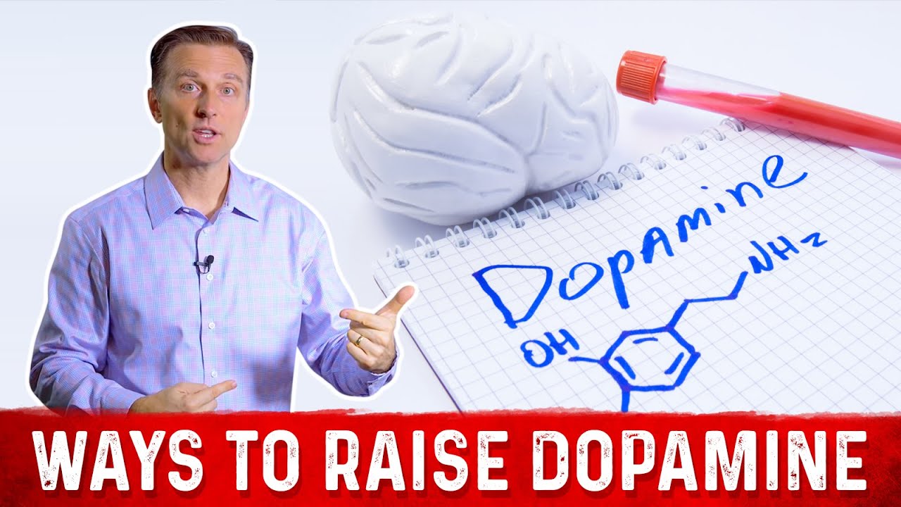 Natural Ways to Raise Dopamine Levels &ndash; Dr. Berg