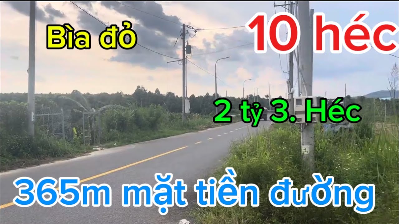 Cần bán 10 héc ta có 365m mặt đường nhựa và đất bằng phẳng sổ sách pháp lý rõ ràng tại đồng Nai 