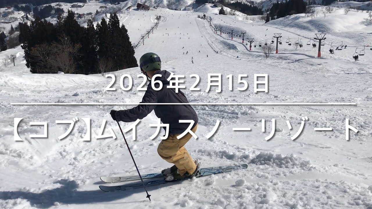 【コブ】2026年2月15日 ムイカスノーリゾート