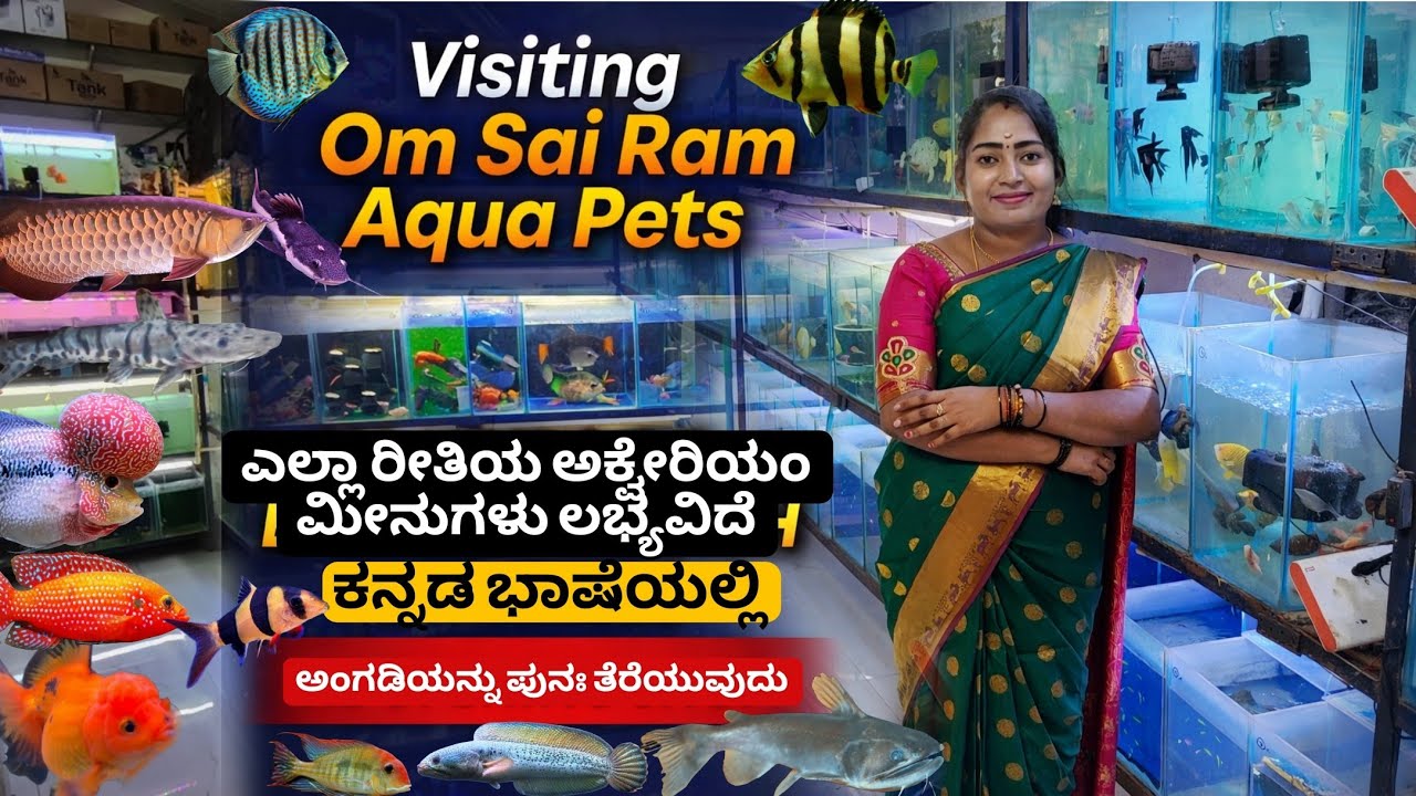 Om Sai Ram Aqua Pets Re-Opening | Rare Fish ,Exotic Fish Collection