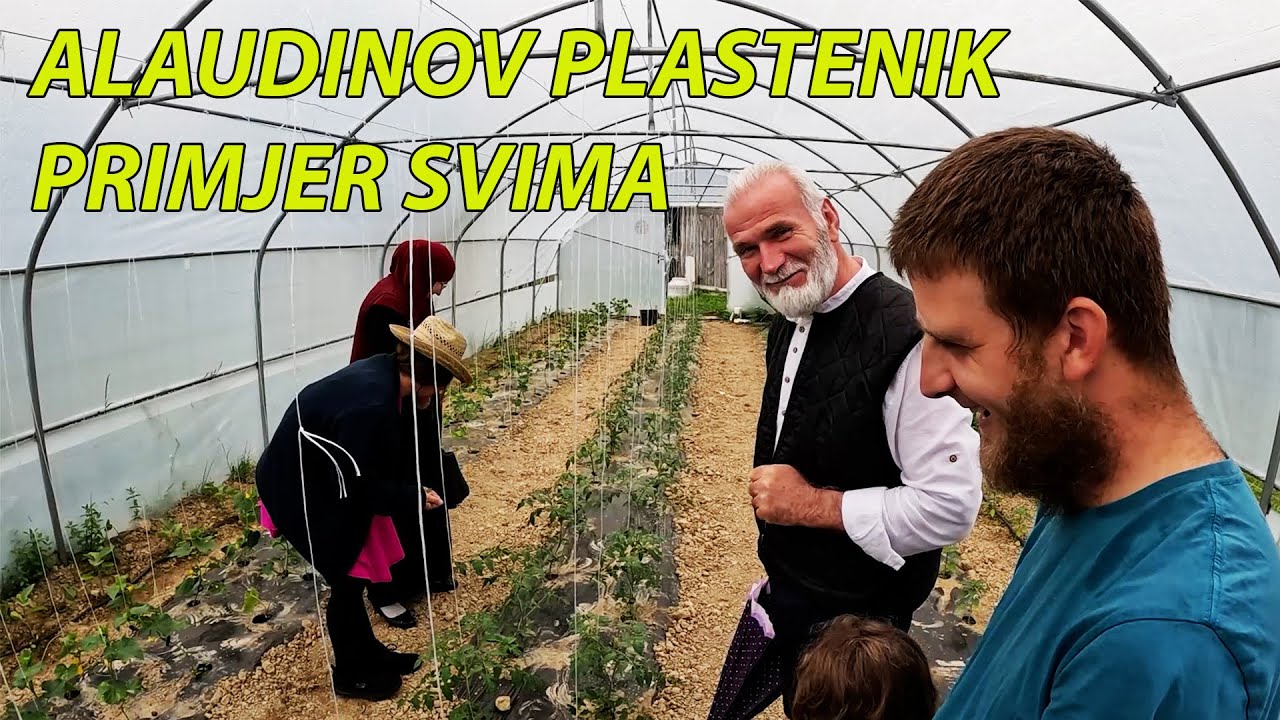 RIČI I HADŽIJA BAJRAM U POSJETI ALAUDINU, DA VIDIMO DA LI JE POSIJAO I POSADIO U PLASTENIKU