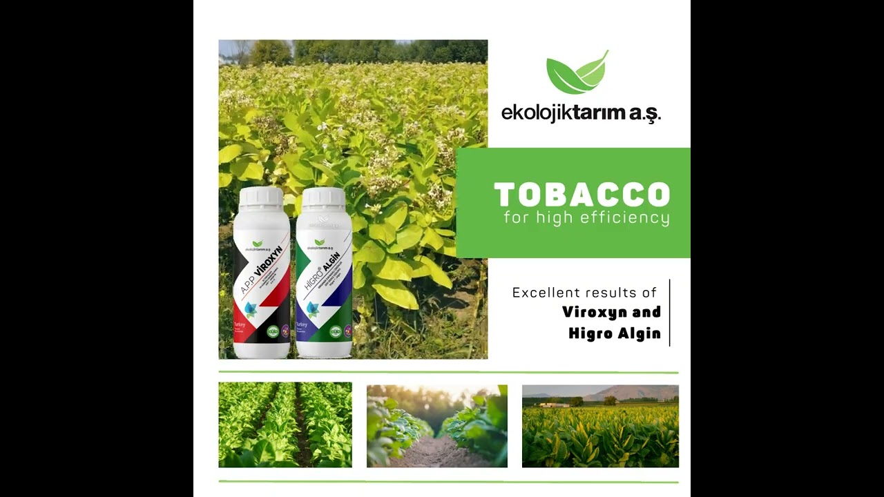 Tobacco Fertilizer