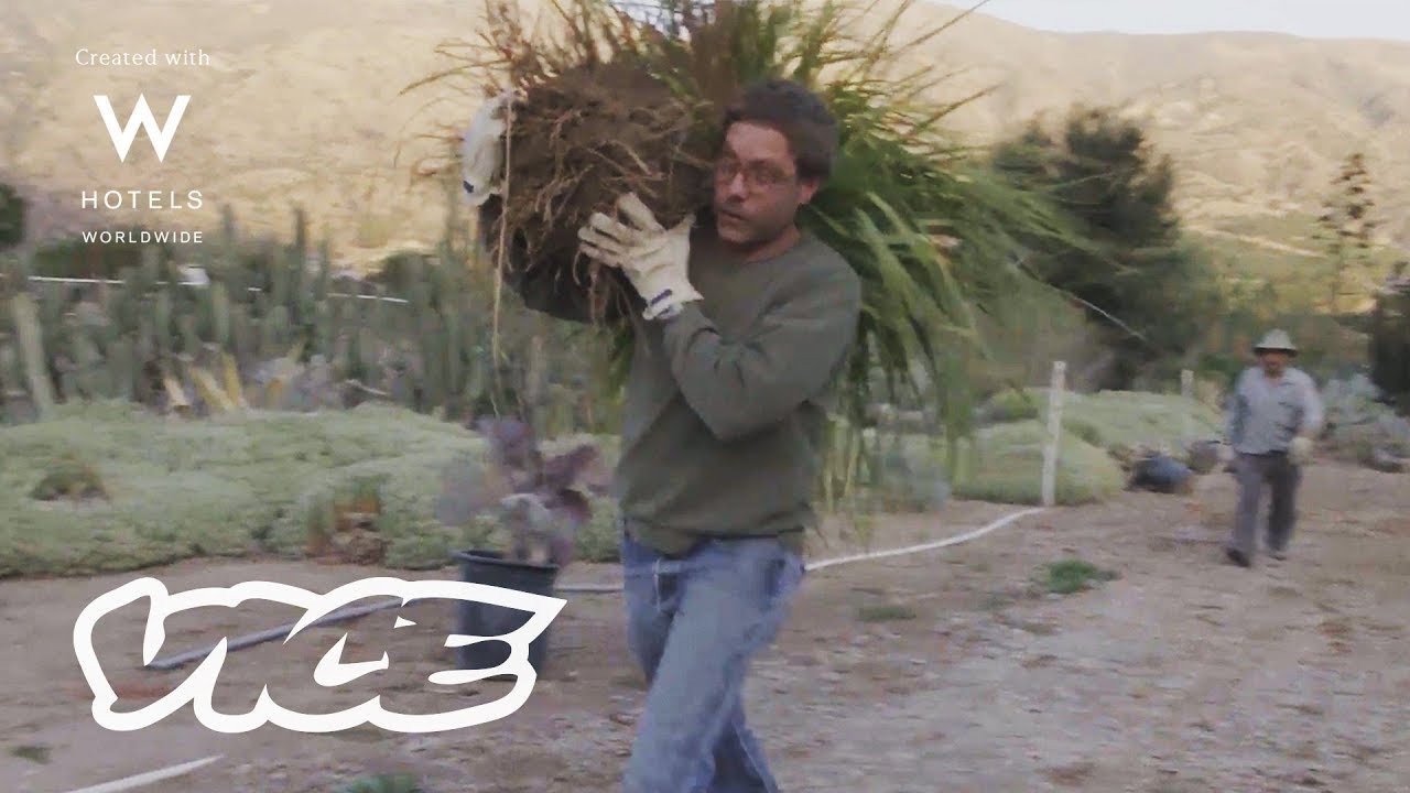 These Cactus Store Owners are Competing with the Black Market - Created with W Hotels