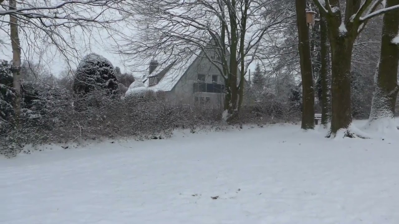 Snow fall Memories