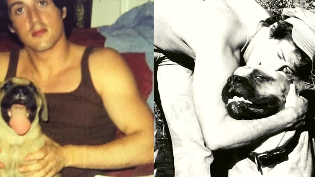 Sylvester Stallone n&atilde;o se perdoava pelo que fez com seu c&atilde;o I Atores famosos I VIX Icons