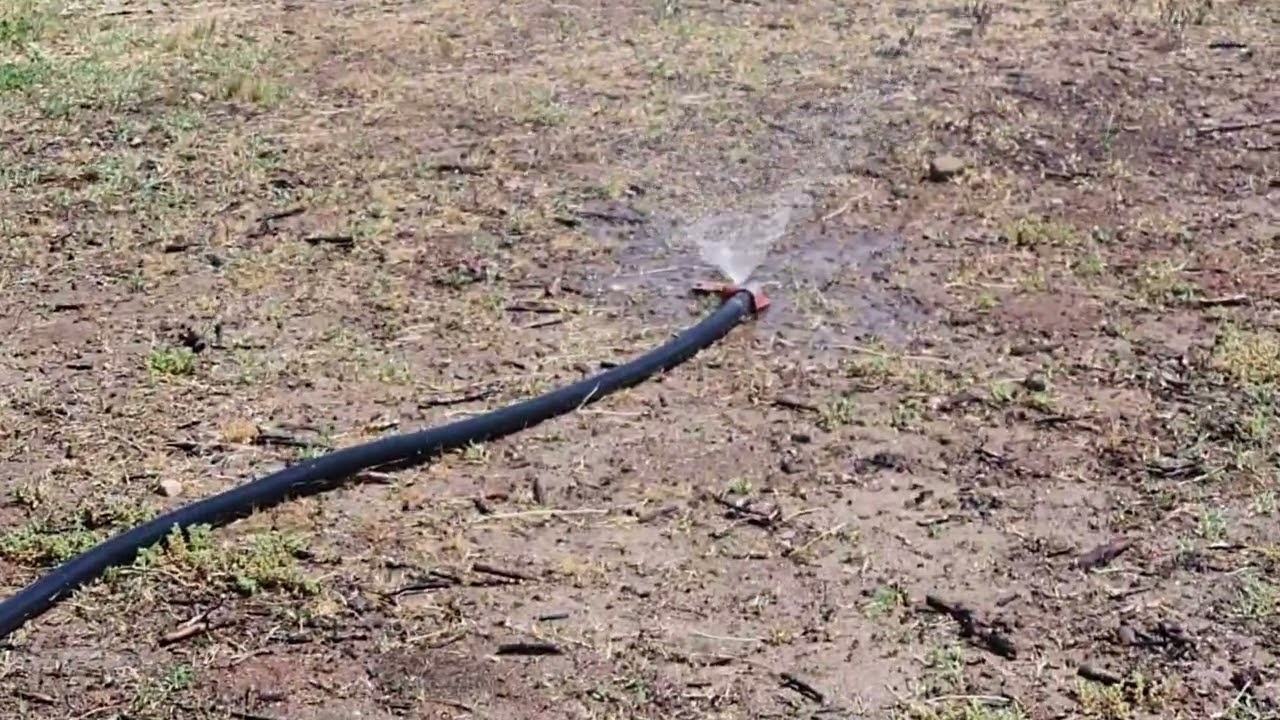 AfriForum Knap Oudtshoorn Parkies Op