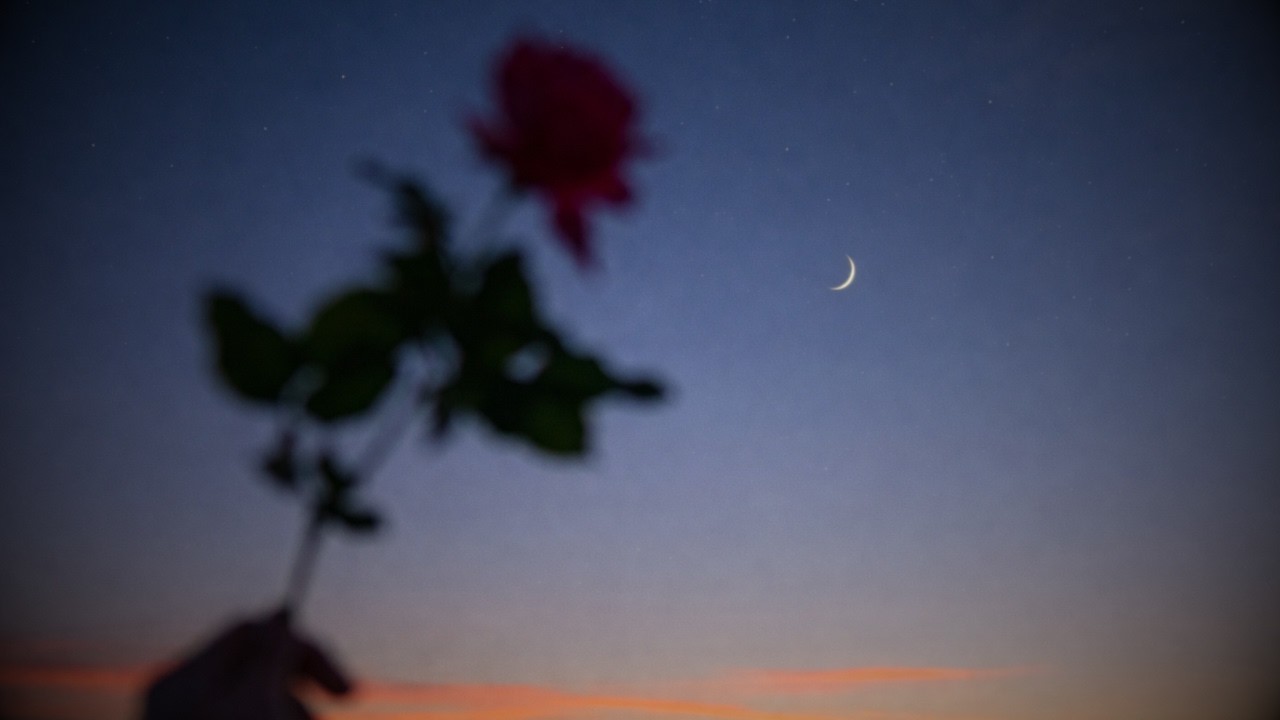 Lonely Rose - Emotional Trap Type Beat | Melodic Type Beat | Ambient Type Beat | Sad Rap Beat (FREE)
