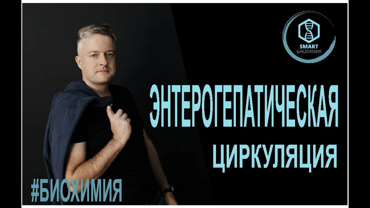 Биохимия: Энтерогепатическая циркуляция