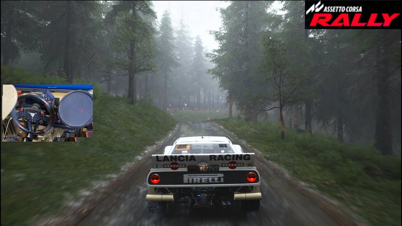 Assetto Corsa RALLY - First LOOK GAMEPLAY Impressions!!