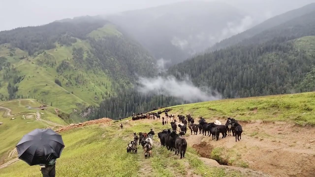 Nepal mountain village lifestyle I Cooking & Daily Chores in the countryside 