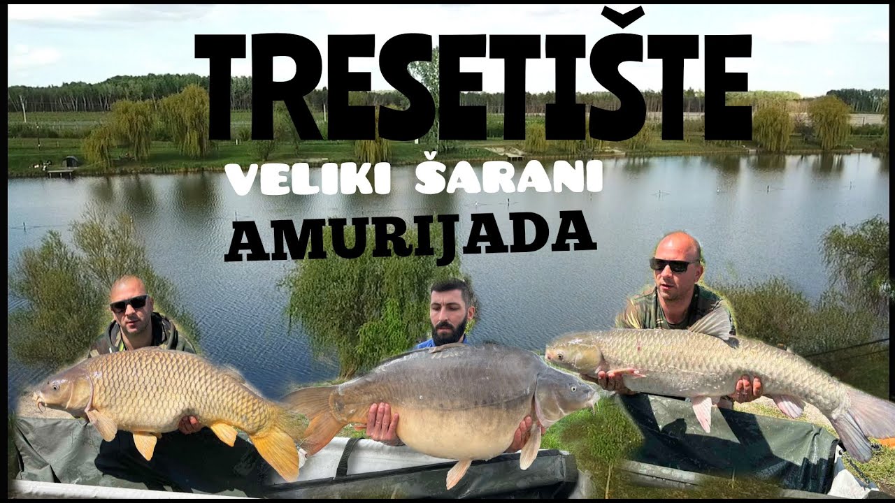 Jezero Tresetište Veliki Šarani i Amurijada