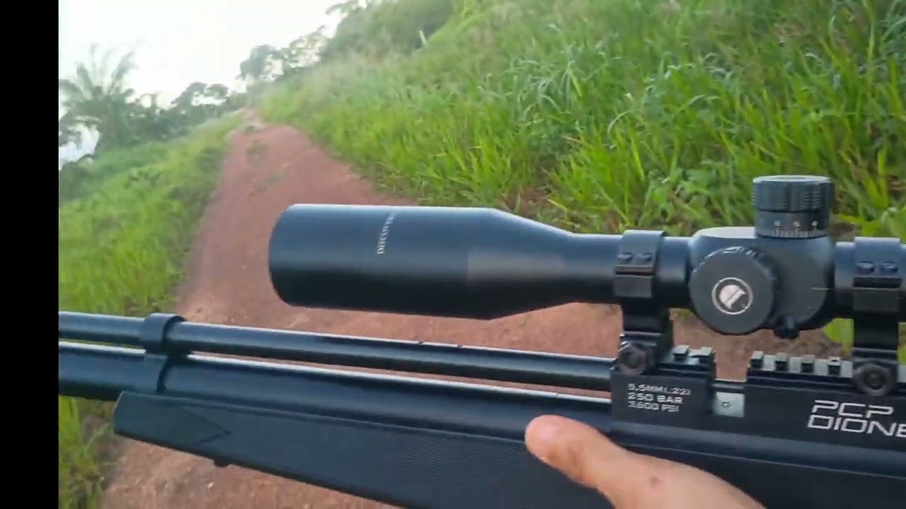 Primeira caçada de pomba trocal de 2026 com PCP Rossi Dione 5.5 e slug Gadita 