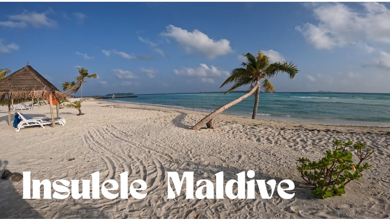 Insula Guraidhoo, Maldive 🏝️ Viața Locală și Farmecul Ascuns al Atolului Malé Sud