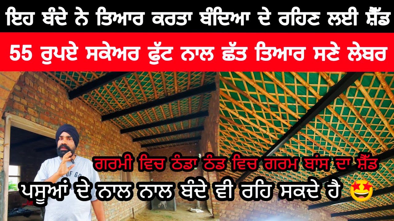 55 ਰੁਪਏ ਸਕੇਅਰ ਫੁੱਟ ਨਾਲ ਛੱਤ ਤਿਆਰ ਸਣੇ ਲੇਬਰ | DAIRY FARM SHED | COW SHED