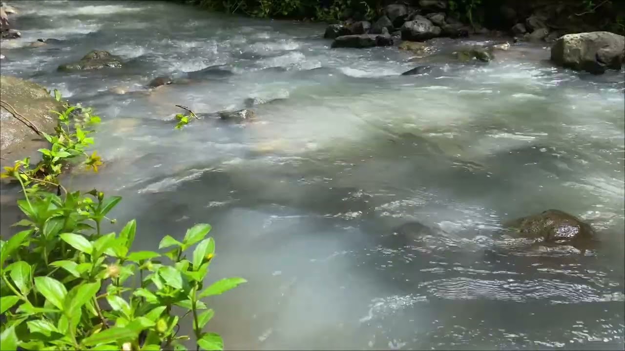 River Flowing with 2026, Quiet Forest River Sounds for Deep Sleep