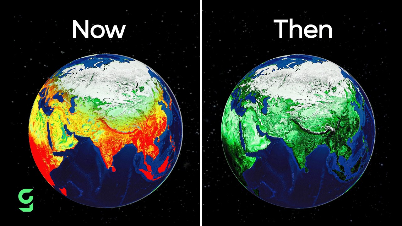 What If We Planted 1 Trillion Trees?