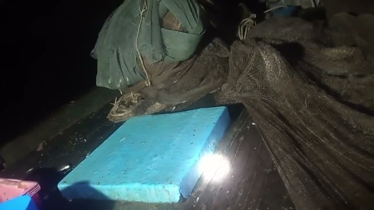 Hôm nay là ngày mai mắn trúng mánh mẽ tôm thẻ và lắc nhiều cua 🦀