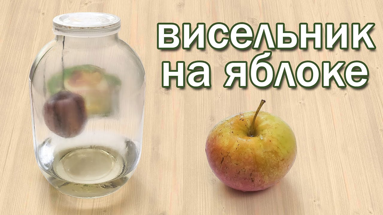 Настойка на Самогоне 