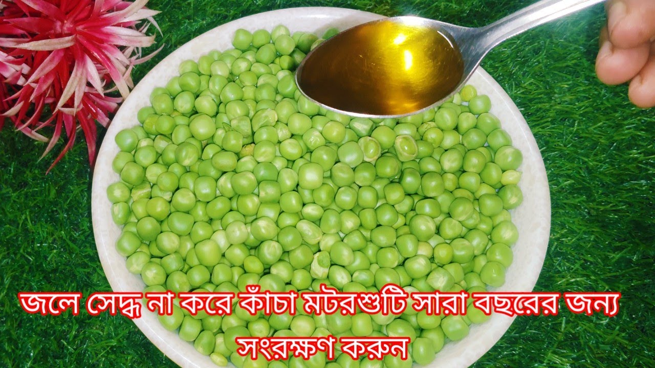 মটরশুটির মধ্যে এক চামচ সরিষার তেল দিয়েই হবে সারা বছর সংরক্ষণ |How to store Fresh green Peas.