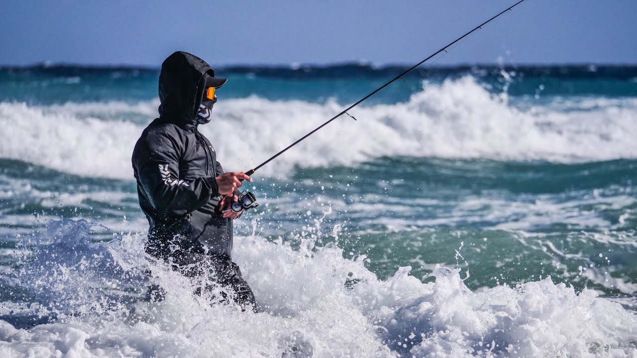 Daiwa Italy's new Certate 2024 video