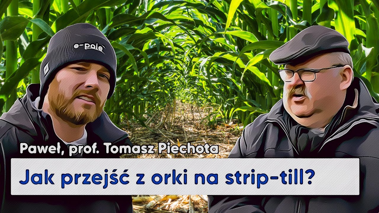 💡Profesor Piechota radzi jak przejść z orki na uprawę pasową! Strip-till w kukurydzy | e-pole