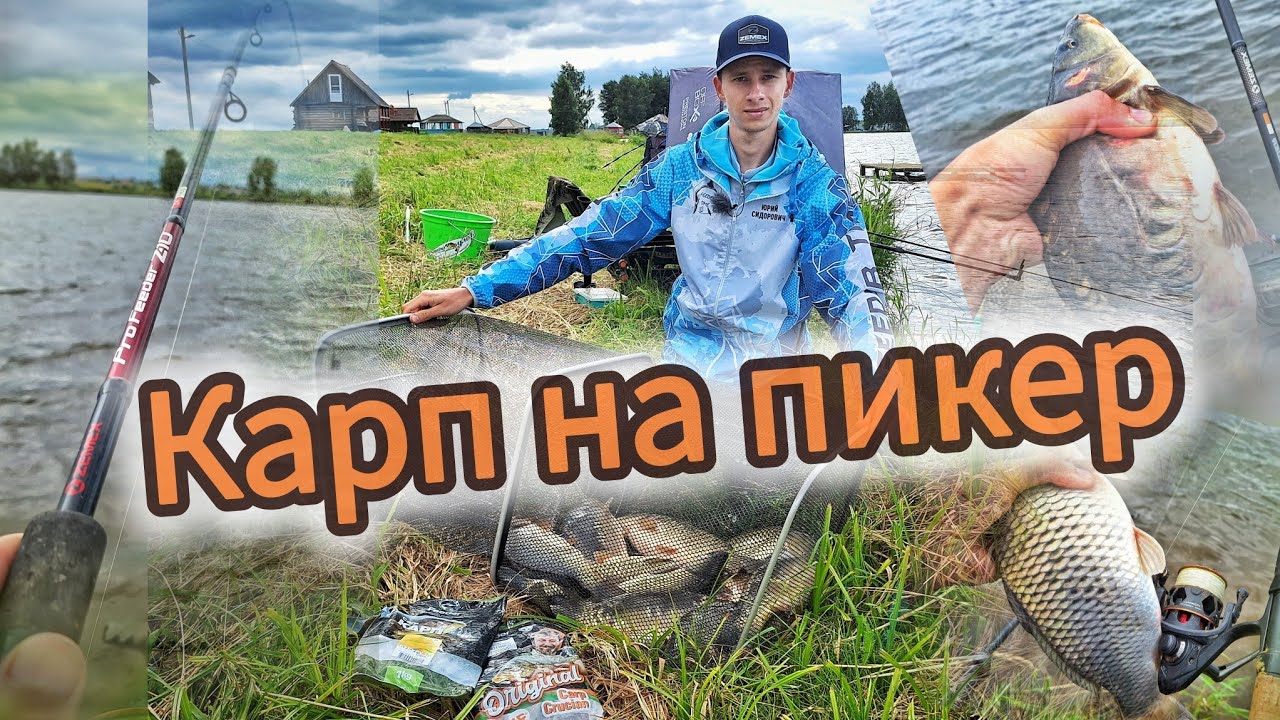 Карп на пикер! Ловля карпа на легкую снасть.