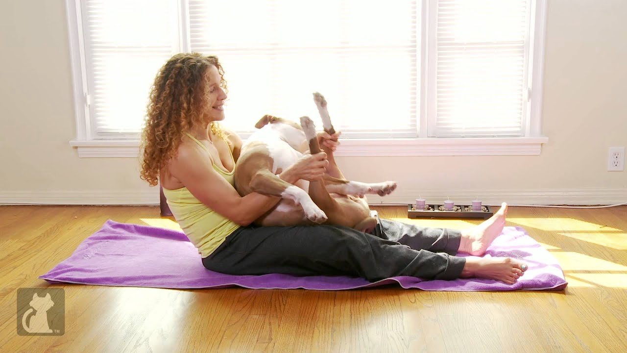 Yoga With Your Dog - Happy Doggy Pose For Your Dog