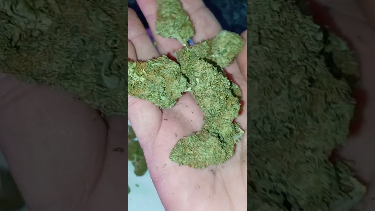 Cake Berry Brulee CBD hemp, @rogueorigincbd (is it good?)