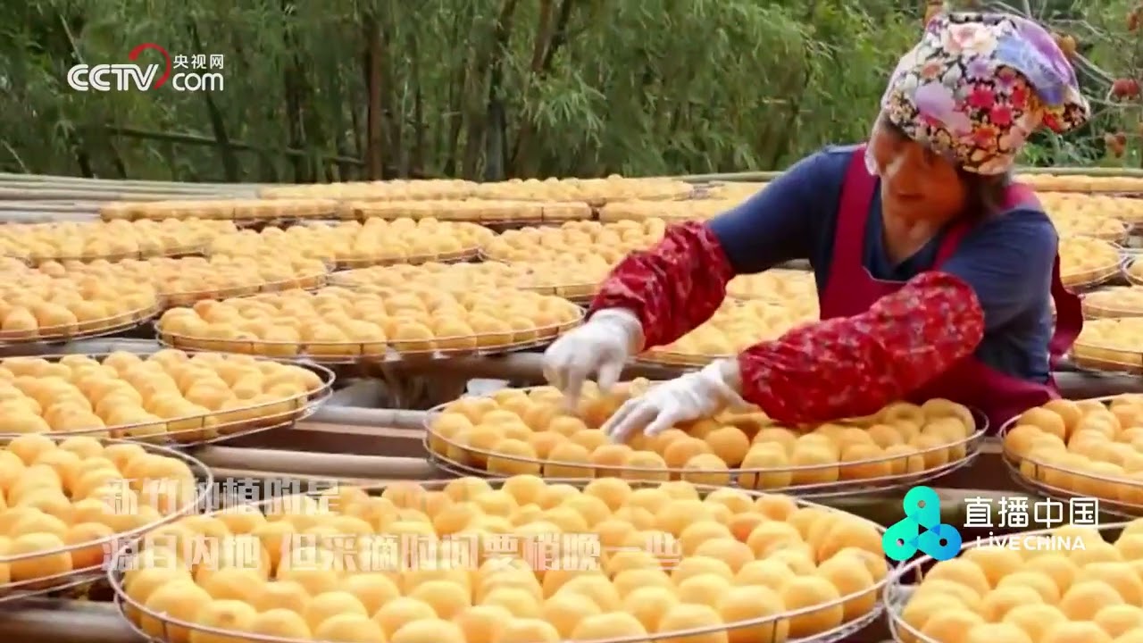 新竹柿饼：牛心柿饼 软糯甘甜|中华地图