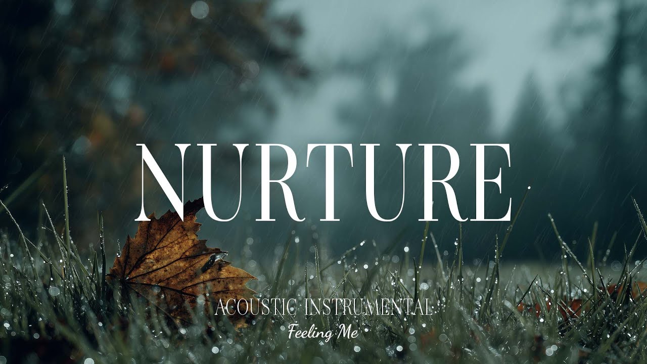 Nurturing Calm 🌿 Acoustic Guitar for Tranquil Moments and Emotional Balance