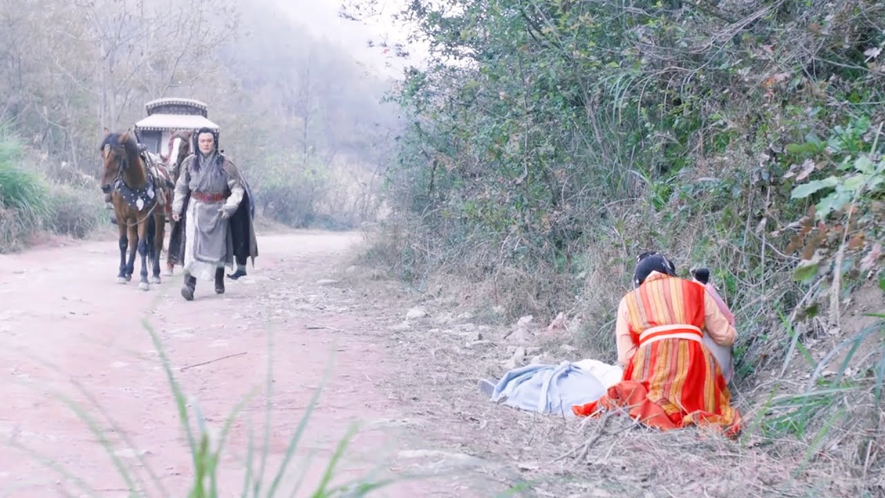 灰姑娘暈倒路邊，沒成想被皇帝撿回宮，命運開始改變！#中國電視劇 #movie