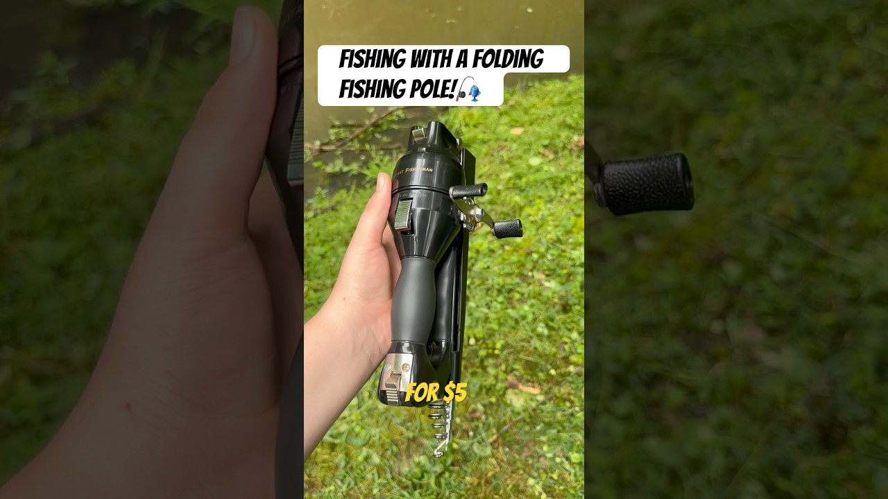 The Instant Fisherman! 🎣 #fishing #fish #fishingrod #cool #shorts #redeemed