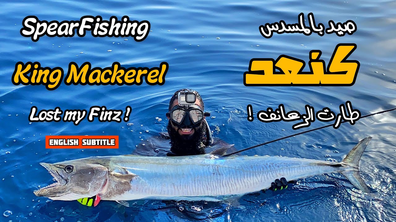 صيد المسدس | كنعد | طارت زعانفي ! Spearfishing