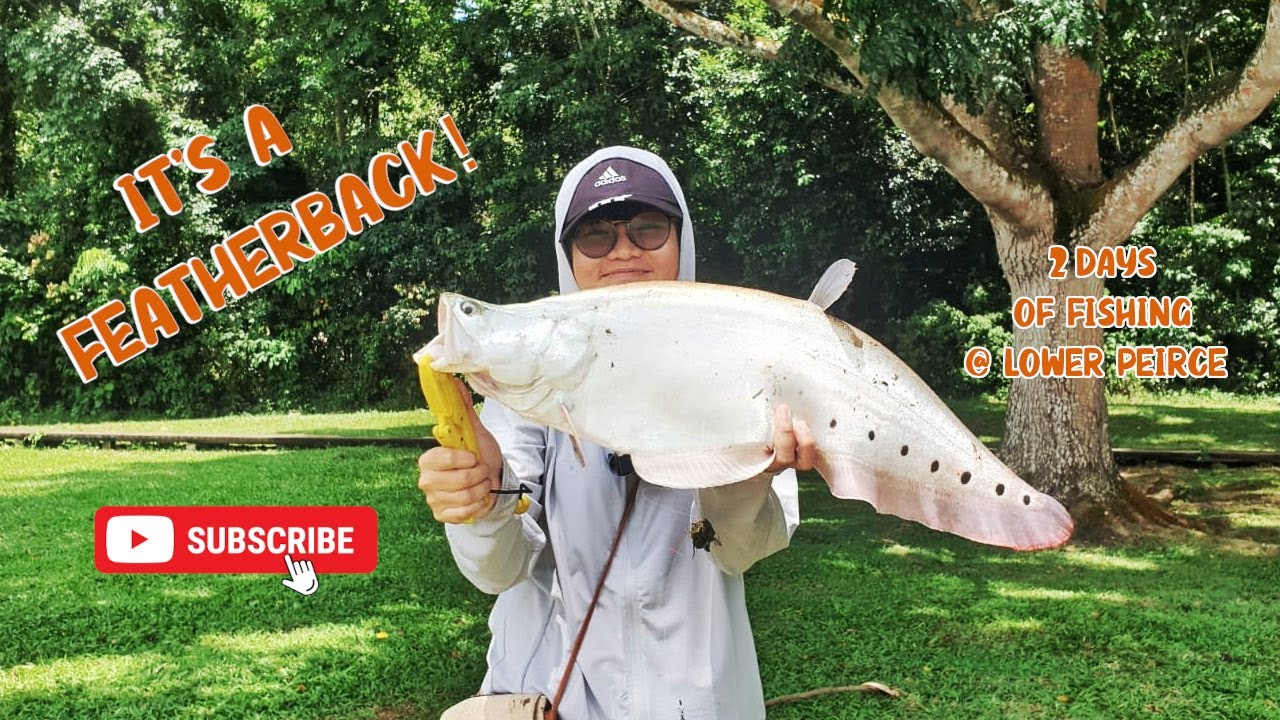 NEW SPECIES unlocked after 2 Days at LOWER PEIRCE Reservoir #fishinginsingapore #sgfishing