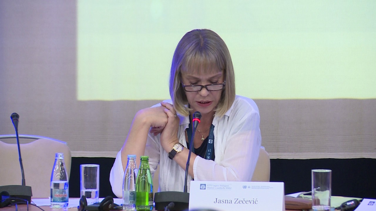 ICTY Legacy Conference - Panel VI