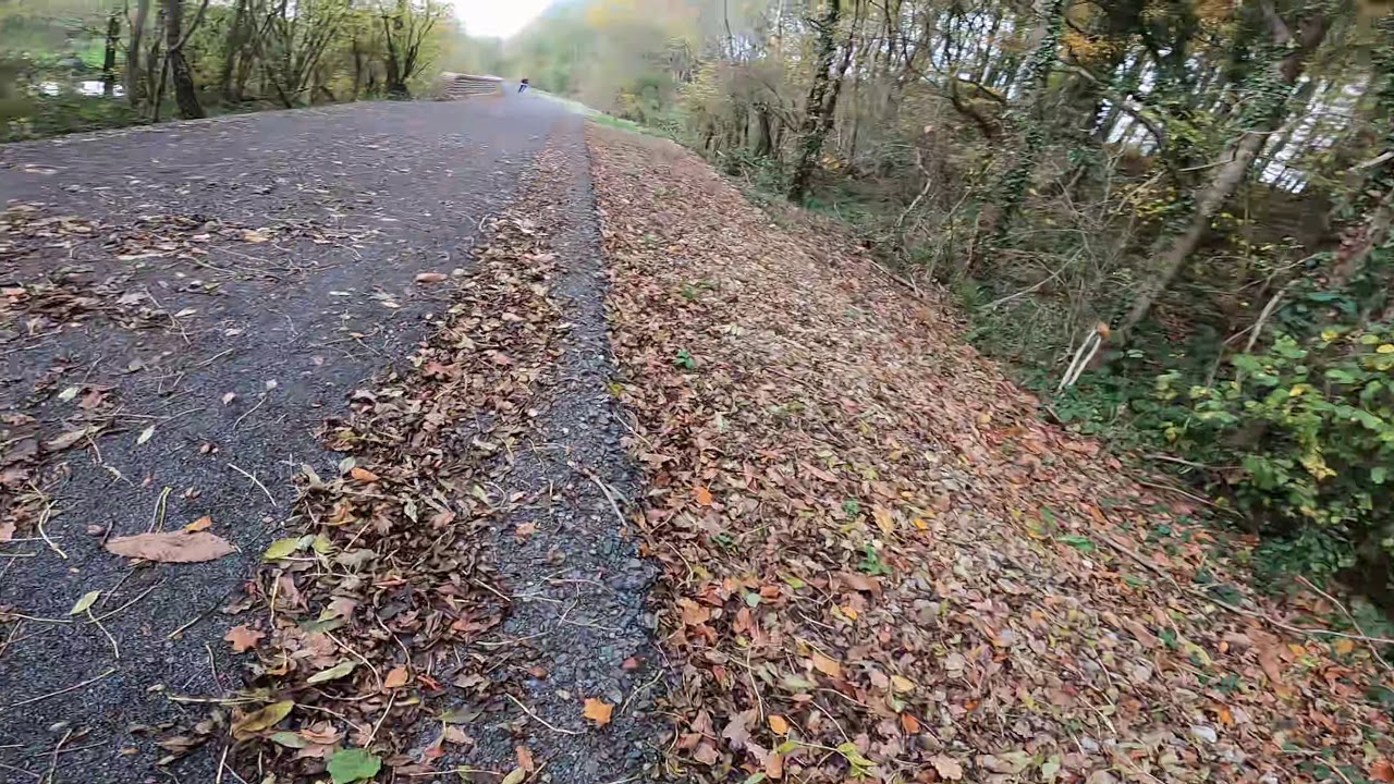 15/11/2020 - VeloScenic - Counterne 53-Mayenne France.