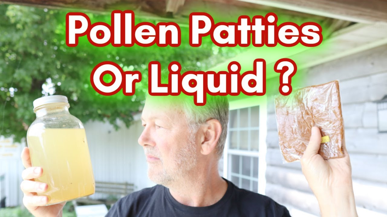 Beekeeping | Are Pollen Patties Worth It or Worthless? Ep.4 Don't Do It Wrong!