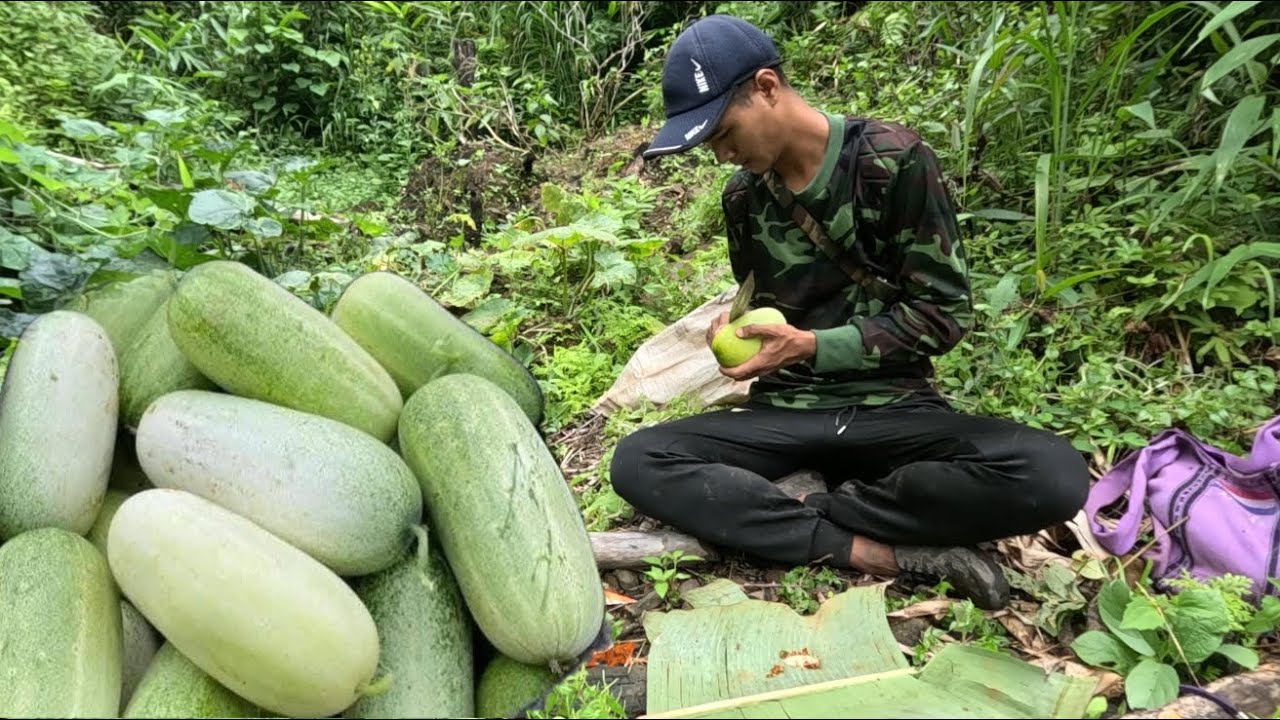 Let’s Eat Karenni Natural Food (Cucumber)