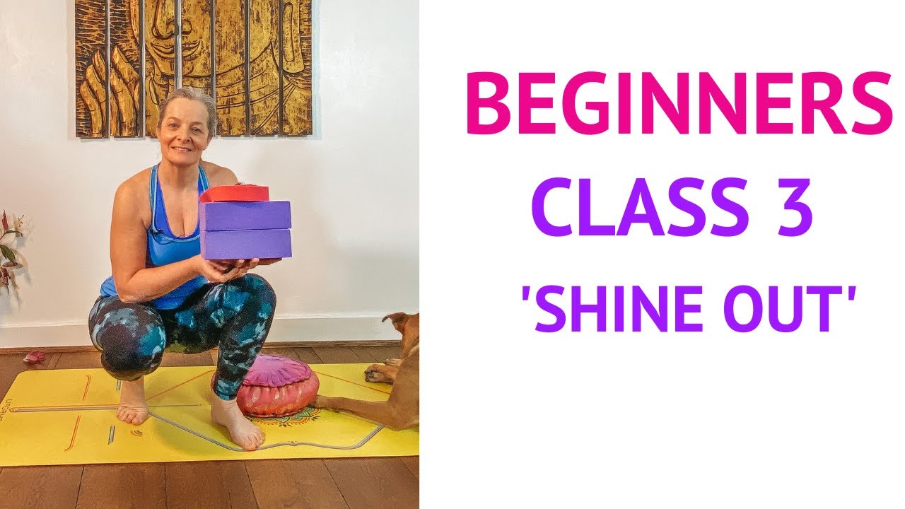 Shine Out | Organic Energy | Beginners Yoga Series Week 3 | Anusara Hatha Yoga with Sarah Powell