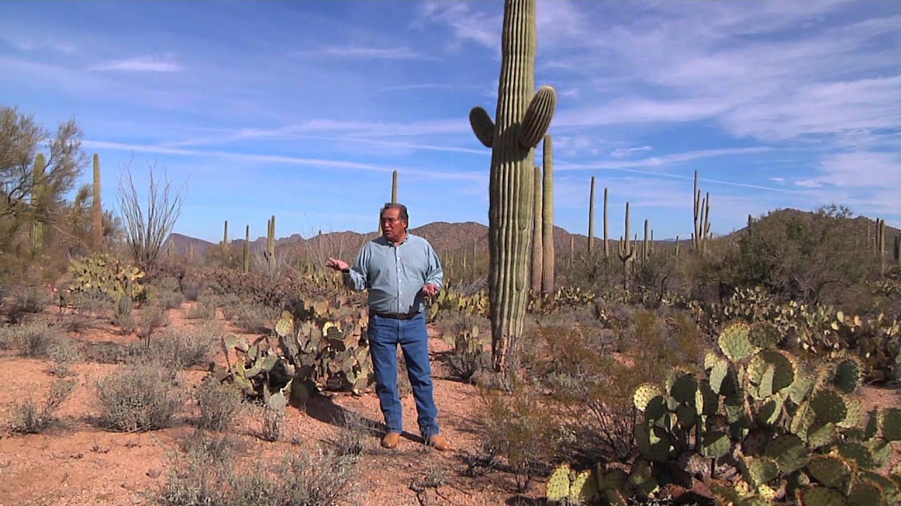 Food, Medicine, and Spitiruality in the Sonoran Desert
