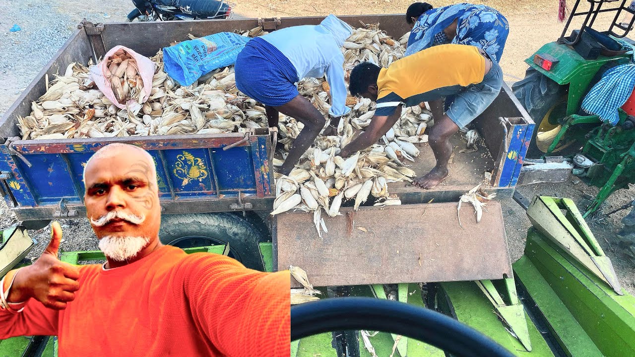 Corn Tharesing Harvester Makka Tharesing Blog || ￼￼