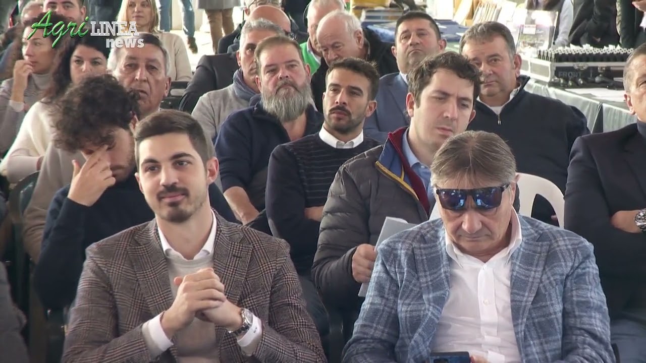 Convegno AIFE 