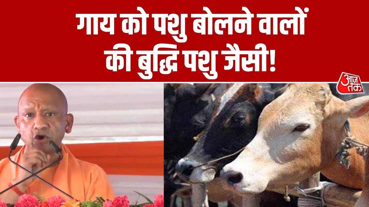 गाय को राष्ट्रीय पशु की मांग पर क्या बोले CM Yogi? | Cow Mother Statement | Maulana Statement
